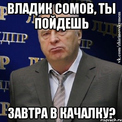 Владик Сомов, ты пойдешь Завтра в качалку?, Мем Хватит это терпеть (Жириновский)