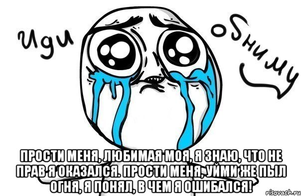  Прости меня, любимая моя, Я знаю, что не прав я оказался. Прости меня, уйми же пыл огня, Я понял, в чем я ошибался!, Мем Иди обниму