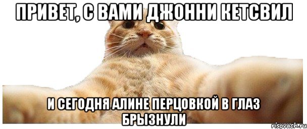 ПРИВЕТ, С ВАМИ ДЖОННИ КЕТСВИЛ И СЕГОДНЯ АЛИНЕ ПЕРЦОВКОЙ В ГЛАЗ БРЫЗНУЛИ, Мем   Кэтсвилл