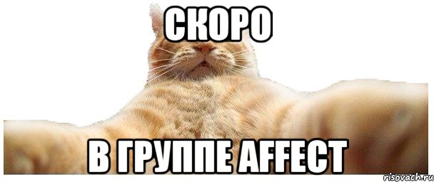 скоро в группе Affect, Мем   Кэтсвилл