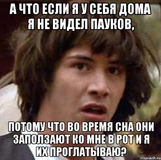 А ЧТО ЕСЛИ Я У СЕБЯ ДОМА Я НЕ ВИДЕЛ ПАУКОВ, ПОТОМУ ЧТО ВО ВРЕМЯ СНА ОНИ ЗАПОЛЗАЮТ КО МНЕ В РОТ И Я ИХ ПРОГЛАТЫВАЮ?, Мем А что если (Киану Ривз)