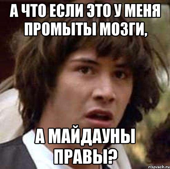 А что если это у меня промыты мозги, а майдауны правы?, Мем А что если (Киану Ривз)