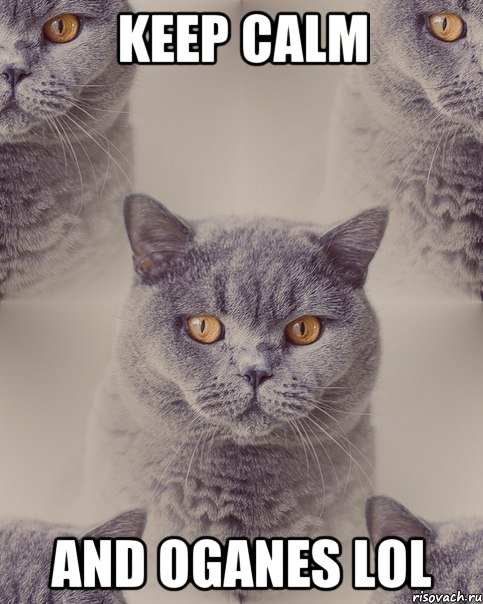 KEEP CALM AND OGANES LOL