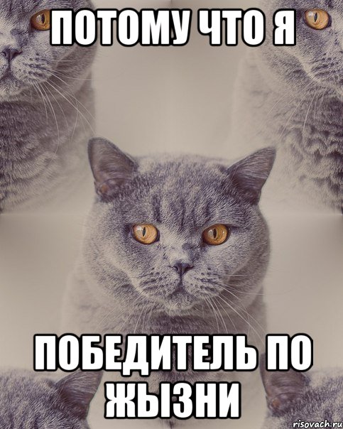 Потому что Я Победитель по жызни