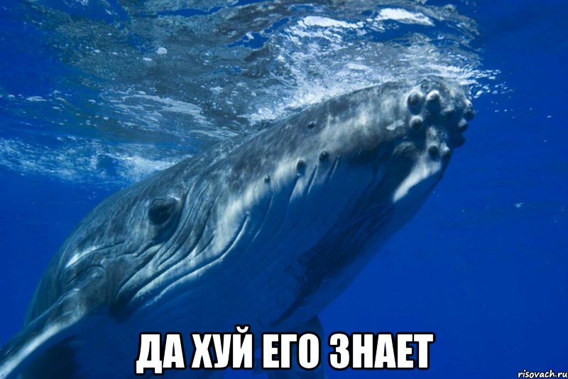  да хуй его знает