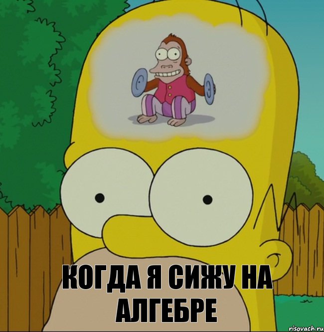 Когда я сижу на алгебре