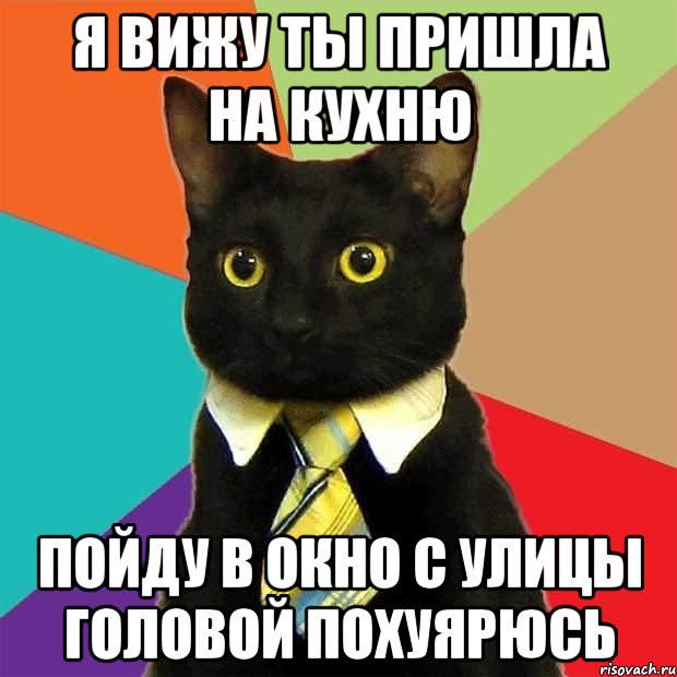 Я вижу ты пришла на кухню пойду в окно с улицы головой похуярюсь, Мем  Кошечка