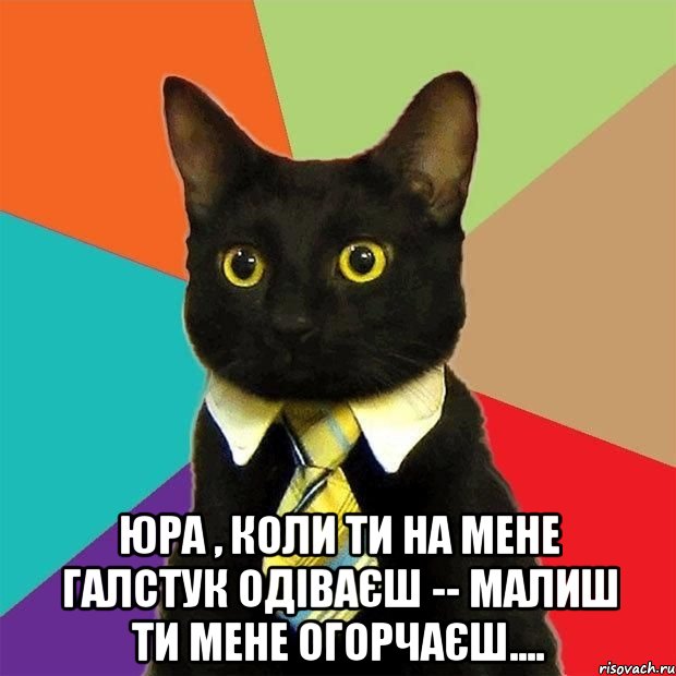  Юра , коли ти на мене галстук одіваєш -- малиш ти мене огорчаєш...., Мем  Кошечка