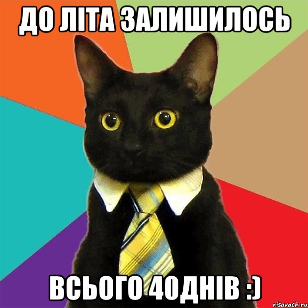 до літа залишилось всього 40днів :), Мем  Кошечка