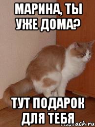 Марина, ты уже дома? тут подарок для тебя