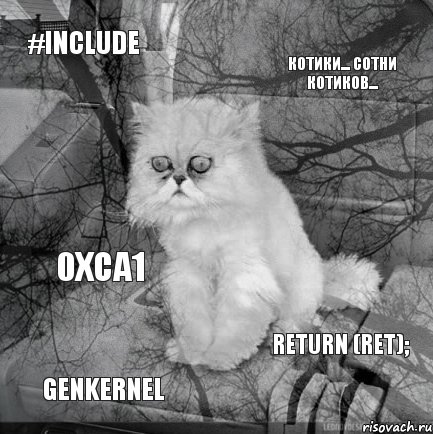 #include Котики... Сотни котиков... genkernel return (ret); 0xCA1, Комикс  кот безысходность