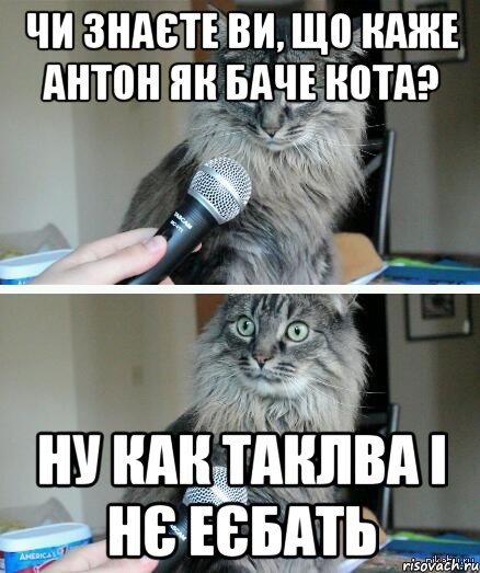 Чи знаєте Ви, що каже Антон як баче кота? Ну как таклва і нє еєбать, Комикс  кот с микрофоном