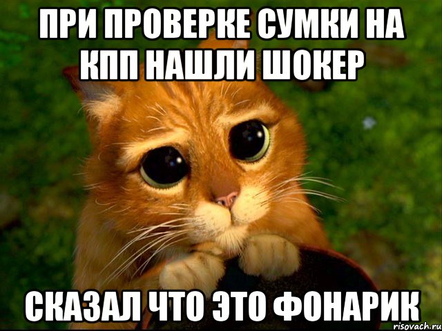 при проверке сумки на кпп нашли шокер сказал что это фонарик, Мем кот из шрека