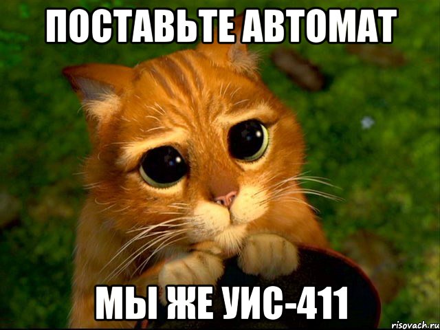 Поставьте автомат мы же уис-411, Мем кот из шрека