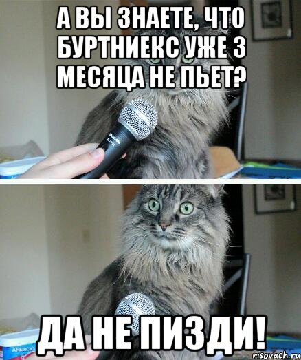 А вы знаете, что буртниекс уже 3 месяца не пьет? Да не пизди!, Комикс  кот с микрофоном