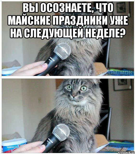 Вы осознаете, что майские праздники уже на следующей неделе? , Комикс  кот с микрофоном