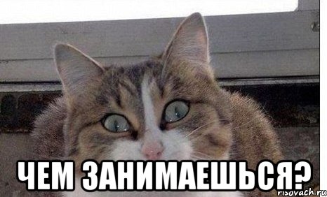 Хамам с массажем щелковская Хамам с массажем щелковская