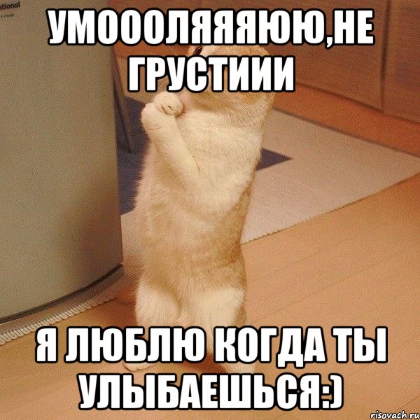 Умоооляяяюю,не грустиии Я люблю когда ты улыбаешься:), Мем  котэ молится