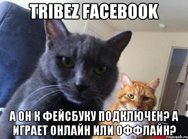 Tribez Facebook А он к фейсбуку подключен? А играет онлайн или оффлайн?, Мем  Два котэ