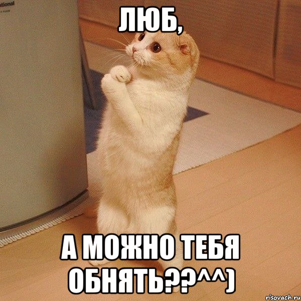 Люб, А можно тебя обнять??^^), Мем  котэ молится