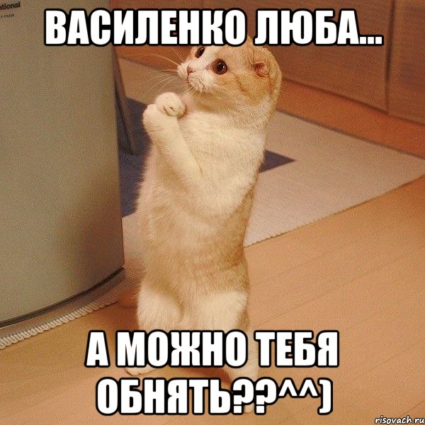 Василенко Люба... А можно тебя обнять??^^), Мем  котэ молится