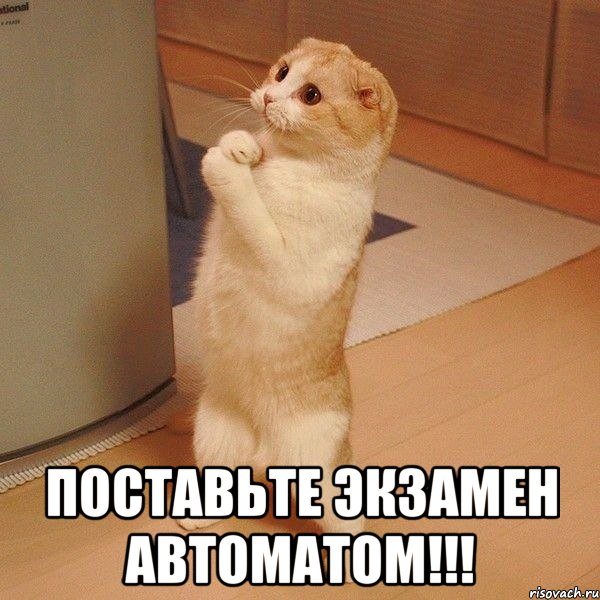 Поставьте экзамен автоматом!!!, Мем котэ молится - Рисовач .Ру