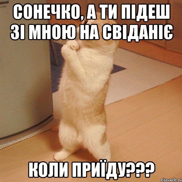 сонечко, а ти підеш зі мною на свіданіє коли приїду???, Мем  котэ молится