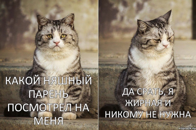 Какой няшный парень посмотрел на меня Да срать, я жирная и никому не нужна, Комикс котейка