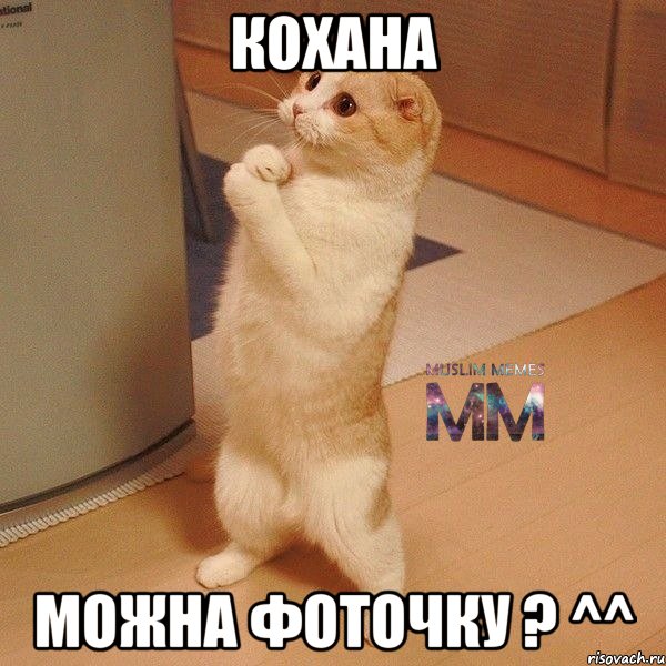 Кохана можна фоточку ? ^^