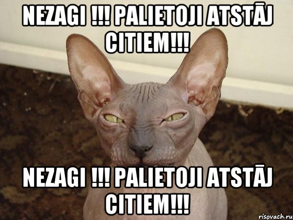 Nezagi !!! Palietoji atstāj citiem!!! Nezagi !!! Palietoji atstāj citiem!!!, Мем  Злой котик