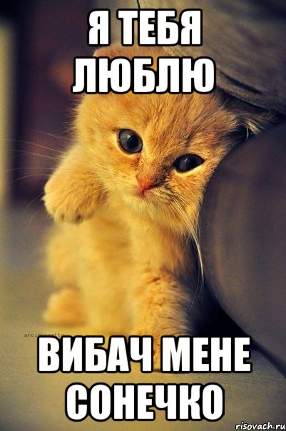 Я ТЕБЯ ЛЮБЛЮ Вибач мене сонечко