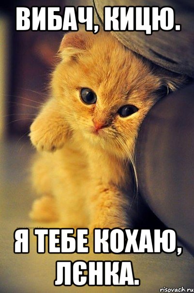 Вибач, кицю. Я ТЕБЕ КОХАЮ, ЛЄНКА.