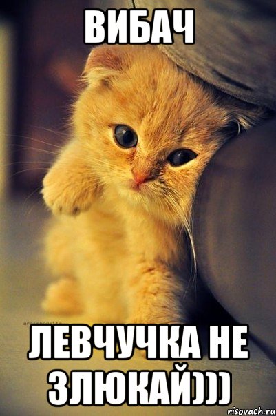 Вибач Левчучка не злюкай)))