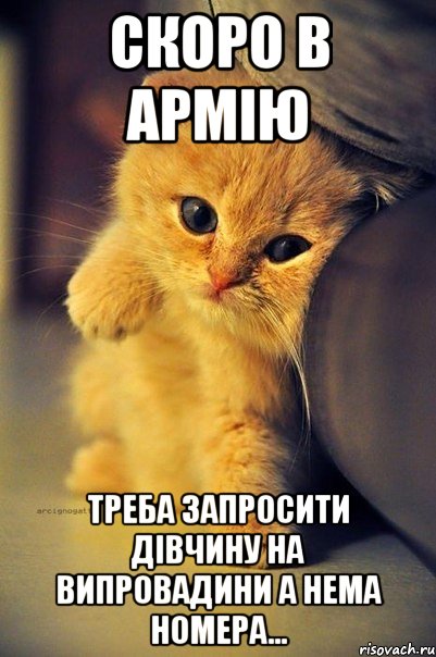 Скоро в армію Треба запросити дівчину на випровадини а нема номера...