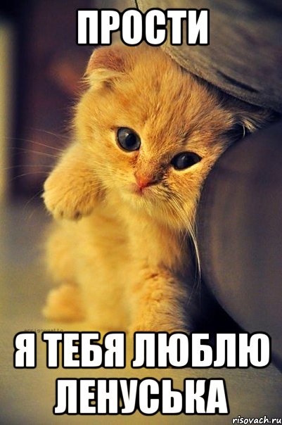 прости я тебя люблю Ленуська