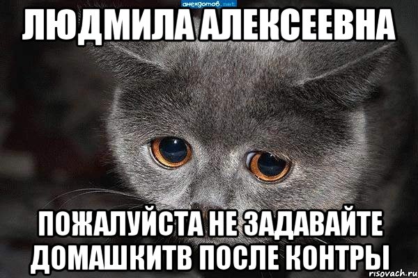 Людмила Алексеевна Пожалуйста не задавайте домашкитв после контры, Мем  Грустный кот
