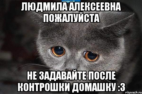 Людмила Алексеевна пожалуйста Не задавайте после контрошки домашку :3, Мем  Грустный кот