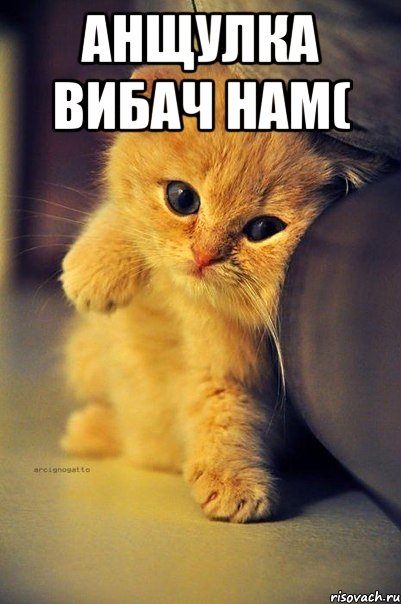 Анщулка вибач нам( 