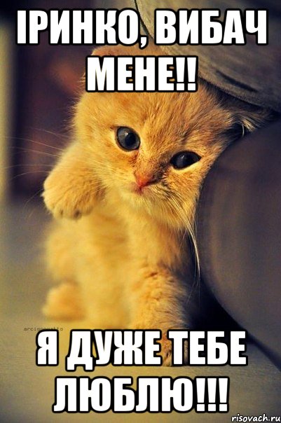 Іринко, вибач мене!! Я дуже тебе люблю!!!