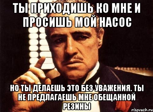 ты приходишь ко мне и просишь мой насос но ты делаешь это без уважения. ты не предлагаешь мне обещанной резины, Мем крестный отец