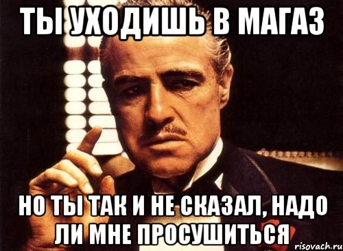 ТЫ УХОДИШЬ В МАГАЗ НО ТЫ ТАК И НЕ СКАЗАЛ, НАДО ЛИ МНЕ ПРОСУШИТЬСЯ, Мем крестный отец