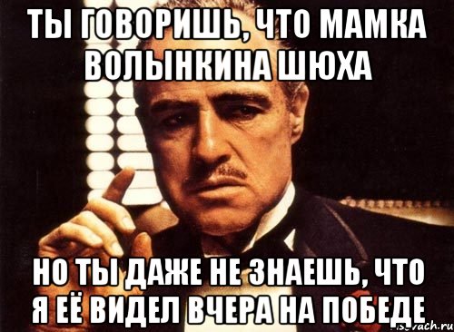 Ты говоришь, что мамка волынкина шюха но ты даже не знаешь, что я её видел вчера на победе, Мем крестный отец