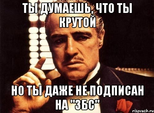 ТЫ ДУМАЕШЬ, ЧТО ТЫ КРУТОЙ НО ТЫ ДАЖЕ НЕ ПОДПИСАН НА "ЗБС", Мем крестный отец