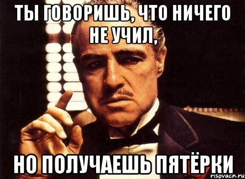 ты говоришь, что ничего не учил, но получаешь пятёрки, Мем крестный отец