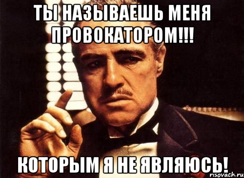 Ты называешь меня провокатором!!! Которым я не являюсь!, Мем крестный отец