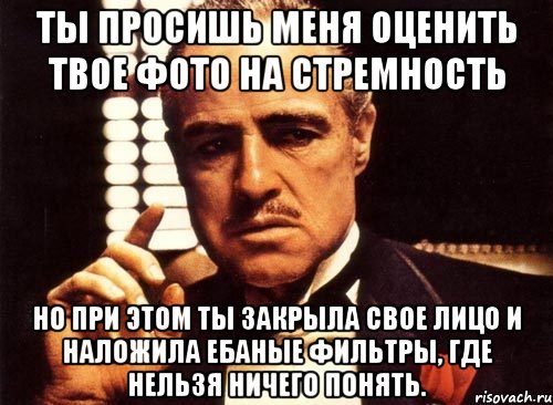 Ты просишь меня оценить твое фото на стремность но при этом ты закрыла свое лицо и наложила ебаные фильтры, где нельзя ничего понять., Мем крестный отец