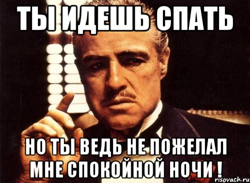 Ты идешь спать но ты ведь не пожелал мне спокойной ночи !, Мем крестный отец