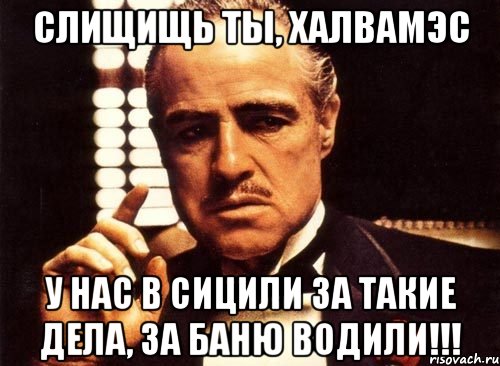 Слищищь ты, халвамэс У нас в Сицили за такие дела, за баню водили!!!, Мем крестный отец