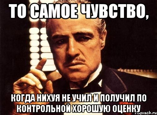 то самое чувство, когда нихуя не учил и получил по контрольной хорошую оценку, Мем крестный отец