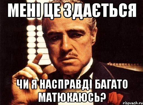 Мені це здається чи я насправді багато матюкаюсь?, Мем крестный отец